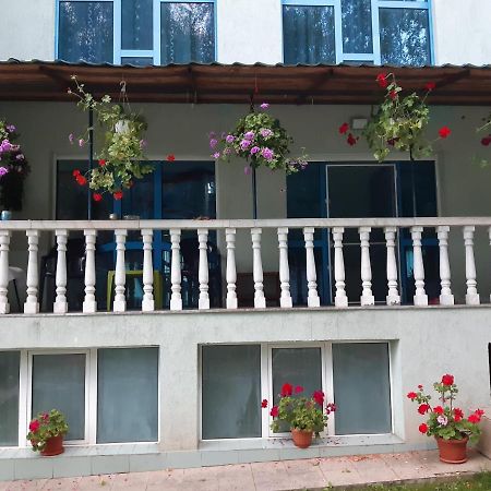 Готель Casa Albastra Drumu Carului Екстер'єр фото