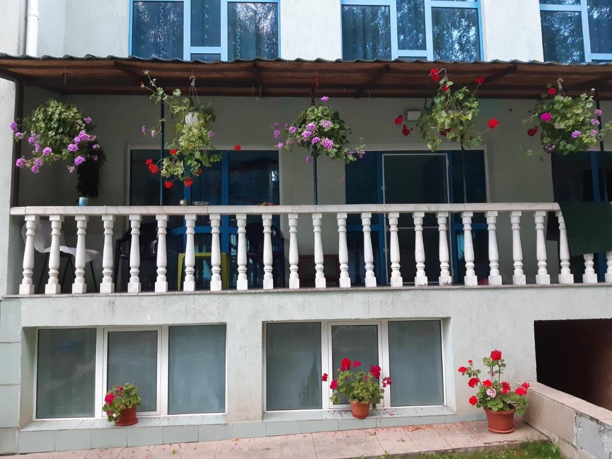 Готель Casa Albastra Drumu Carului Екстер'єр фото
