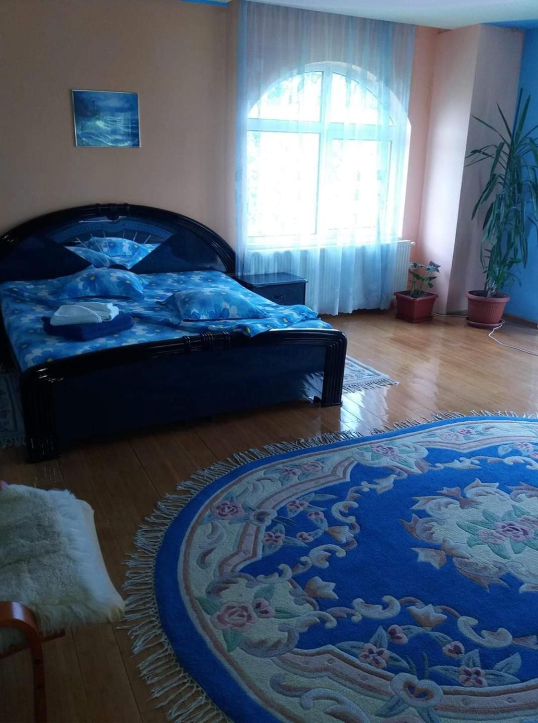 Готель Casa Albastra Drumu Carului Номер фото